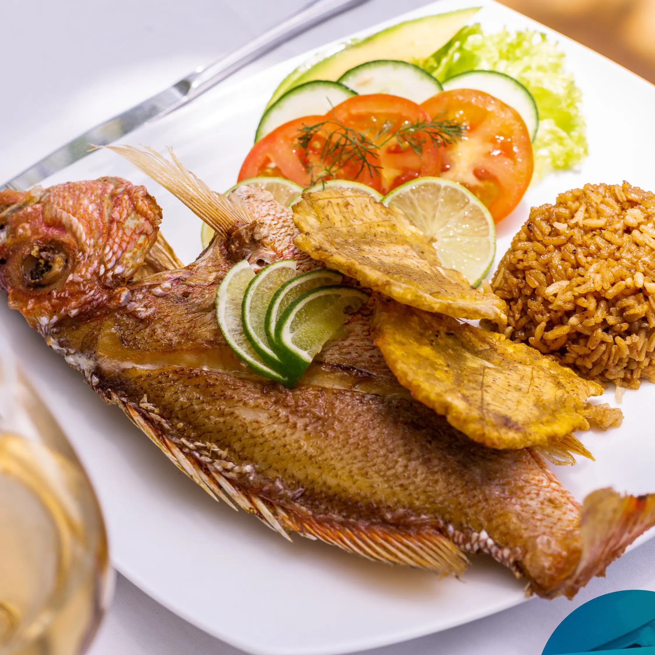 ISLA DEL SOL – ISLAS DEL ROSARIO ISLA DEL SOL – ISLAS DEL ROSARIO