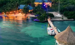 Isla Tintipan Tour