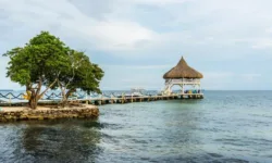 Isla Tintipan Tour