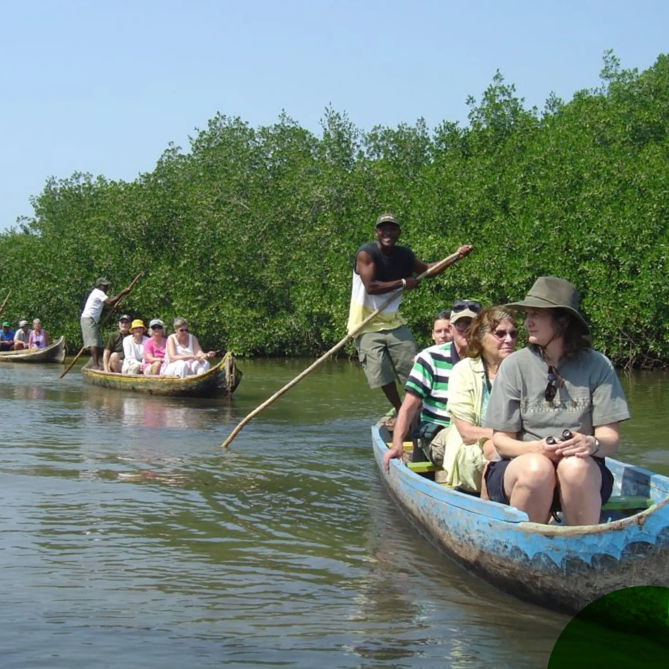 TOUR EN LOS MANGLARES TOUR EN LOS MANGLARES